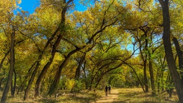 RTTHikeLocalTrails.jpg