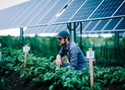 How Solar Power Saves Family Farms